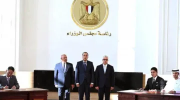 مصر تتوصل إلى صفقة كبيرة بقيمة 220 مليون دولار لإنتاج الألواح الشمسية.