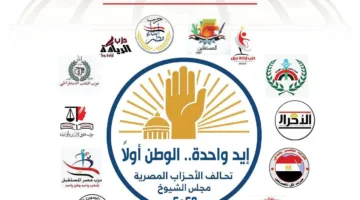 مدحت بركات متصديًا للإشاعات: تحالف الأحزاب المصرية يتابع انتخابات الشيوخ في الخارج خطوة بخطوة ورسالتنا هي الوطن أولاً