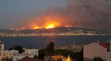 المغرب يواصل جهود إخماد حريق يغطي 5 هكتارات من الغابات