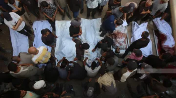 أبو سلمية: تهديد بمليون و300 ألف شخص في حال اجتياح الاحتلال لغزة
