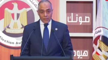أحمد بنداري: سير العملية الانتخابية في الخارج يسير بشكل منظم.. وتزايد حضور المصريين يعد رسالة بأننا «نحن متحدون»
