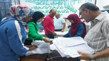 أربع محافظات تكشف عن النتائج العددية لأصوات الشيوخ.. ماذا أخبرت الصناديق؟