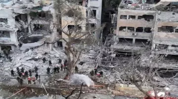 أستاذ دراسات دولية: المجتمع العالمي غير قادر على التصدي لجرائم إسرائيل في هذه الظروف
