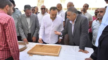 أسيوط تحقق نجاح موسم الحصاد بتوريد 185 ألف طن من القمح المحلي