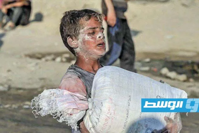 ألمانيا: جهود توصيل المساعدات إلى غزة “لا ترقى إلى المستوى المطلوب” ألمانيا: جهود توصيل المساعدات إلى غزة “لا ترقى إلى المستوى المطلوب”