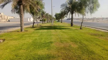أمانة الشرقية ت完成 صيانة 50,000 متر مربع من المناطق الخضراء في البيضاء