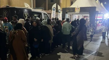 أنشطة الهيئة الوطنية للانتخابات: عدم الكشف عن النتائج في اللجان الفرعية والعامة