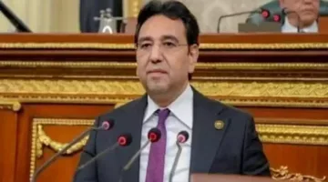 إبادة جماعية.. “مجلس النواب العربي”: السيسي أرسل رسائل واضحة حول الأحداث في
