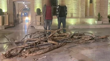 إحالة شابين عاطلين إلى القضاء بتهمة سرقة كابلات كهربائية في التجمع الأول