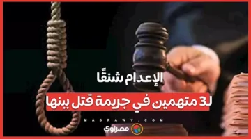 إصدار حكم بالإعدام شنقًا على ثلاثة متهمين في قضية قتل ببنها.. تفاصيل الحكم المثير للدهشة