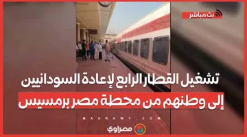 إطلاق القطار الرابع لإعادة السودانيين إلى وطنهم من محطة رمسيس في مصر