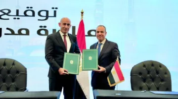 إطلاق فصول تعليمية إلكترونية لأبناء المصريين المغتربين