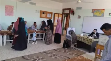 إعلان النتائج العددية لانتخابات الشيوخ في الوادي الجديد: ماذا أسفر عنه؟