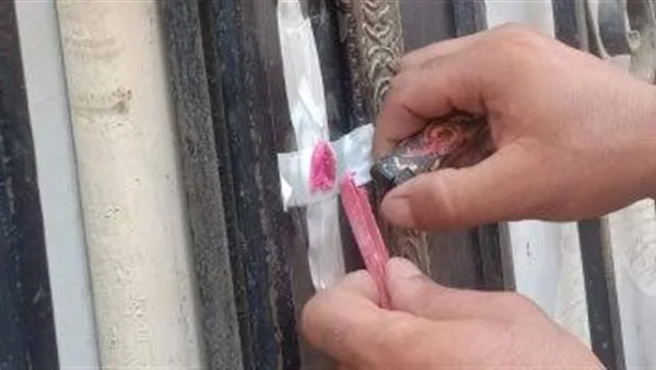 إغلاق 28 منشأة غير مطابقة للقوانين وإزالة 295 حالة إشغال في الإسكندرية