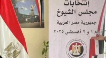 إغلاق التصويت في الخارج بخمس سفارات خلال انتخابات الشيوخ 2025