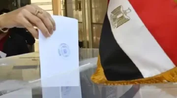 إغلاق مراكز الاقتراع في عدة دول بعد انتهاء اليوم الأول من تصويت المصريين في انتخابات مجلس الشيوخ 2025