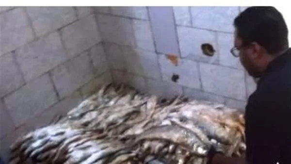 إغلاق مركزين لتجارة وتخزين الأسماك المملحة في أسوان لعدم مطابقتها للمواصفات الصحية. إغلاق مركزين لتجارة وتخزين الأسماك المملحة في أسوان لعدم مطابقتها للمواصفات الصحية.
