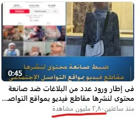 إقبال غير مسبوق.. موجة الداخلية تغزو بلوجرات تيك توك في غضون 48 ساعة