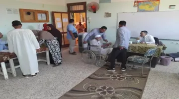 إقبال كبير في انتخابات مجلس الشيوخ في الوادي الجديد (صور)