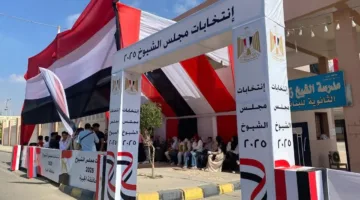 إيجابيات وسلبيات: المنظمة المصرية لحقوق الإنسان تُعرض ملاحظاتها حول الساعات الأولى من انتخابات مجلس الشيوخ
