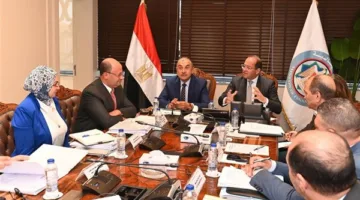 اجتماع تنسيقي بين وزيري القطاع العام والمالية لبحث كيفية الاستفادة القصوى من أصول الدولة