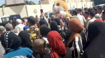 احتفالية لجذب الناخبين لمجلس الشيوخ في المنيا بالطبول والزغاريد (صور)