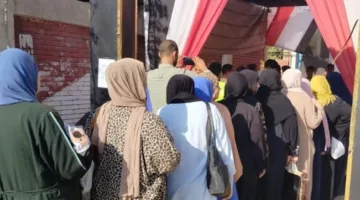 اختتام التصويت في انتخابات مجلس الشيوخ وبدء عملية فرز الأصوات