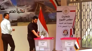 اختتام عملية التصويت لانتخابات مجلس الشيوخ في سفارات مصر بلندن والدول المغاربية