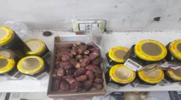 استعادة 500 كيلوجرام من التمور غير الآمنة للاستهلاك البشري في الوادي الجديد (صور)