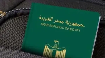 استكشف الإجراءات والمستندات الضرورية للحصول على الجنسية المصرية.