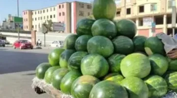 استمرار ثبات أسعار البطيخ في الأسواق المصرية اليوم الجمعة، 1 أغسطس 2025