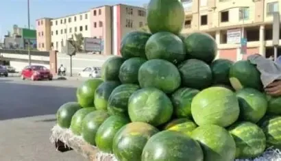 استمرار ثبات أسعار البطيخ في الأسواق المصرية اليوم الجمعة، 1 أغسطس 2025 استمرار ثبات أسعار البطيخ في الأسواق المصرية اليوم الجمعة، 1 أغسطس 2025