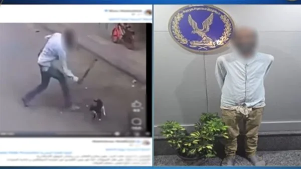 اعتقال شخص يعاني من اضطراب نفسي بعد ضربه “قطة” في الإسكندرية اعتقال شخص يعاني من اضطراب نفسي بعد ضربه “قطة” في الإسكندرية