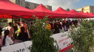 اكتشف لجنتك الانتخابية لعام 2025: كيفية المشاركة في انتخابات مجلس الشيوخ؟