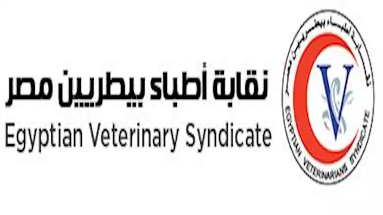 “الأطباء البيطريون” يوضحون موقفهم من الجمعية العمومية لاتحاد المهن الطبية ويدعون إلى المشاركة “الأطباء البيطريون” يوضحون موقفهم من الجمعية العمومية لاتحاد المهن الطبية ويدعون إلى المشاركة