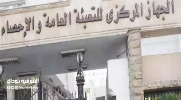الإحصائيات: الوقود يحتل المرتبة الأولى في صادرات يونيو الماضي