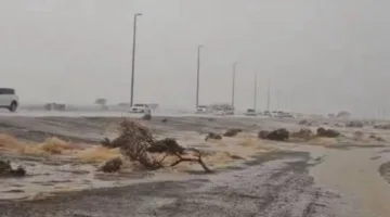 الإمارات.. توقعات بسماء صافية إلى غائمة جزئيًا غدًا