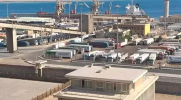 البحر الأحمر يستقبل ويغادر 8 سفن و1800 مسافر خلال يوم واحد