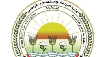 البحوث الزراعية يرفض أي صلة له بمنتجات زيت الزيتون المتواجدة على منصات التواصل الاجتماعي.
