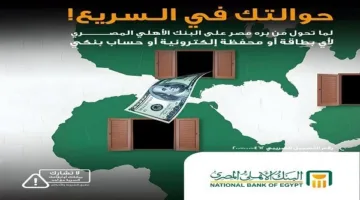 البنك الأهلي المصري يوفر إمكانية استلام التحويلات الخارجية عبر المحافظ الإلكترونية والحسابات والبطاقات البنكية.