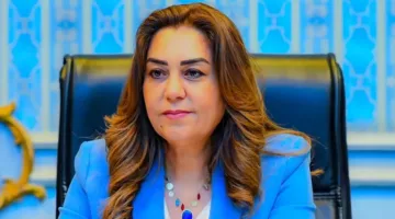 البيئة: طريقة آمنة للتخلص من دلفين نافق على الساحل الشمالي