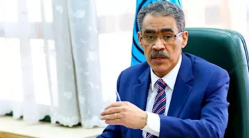 التقارير: 86 وسيلة إعلامية دولية تشارك في تغطية انتخابات مجلس الشيوخ 20