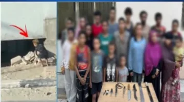 “الثقب الأسود”: وزارة الداخلية تُعلن تفاصيل مداهمة موقع الجريمة في الجيزة