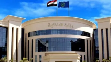الداخلية تعتقل صانعة محتوى زعمت أنها تستطيع “تسريع إصدار الرخص”
