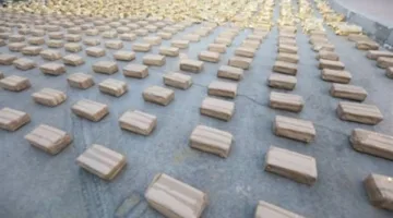 الداخلية تقبض على شخصين خطرين بحوزتهما مواد مخدرة بقيمة 255 مليون جنيه في الإسماعيلية