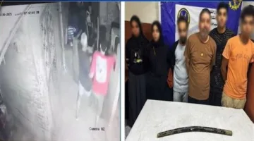 «الداخلية» توضح تفاصيل الفيديو المتعلق بالاعتداء على امرأة تحمل طفلًا في منشأة ناصر