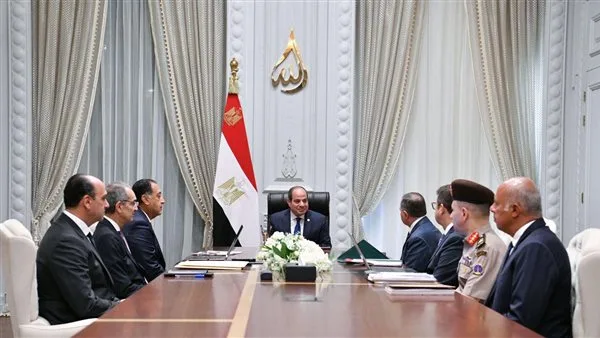 الرئيس السيسي يشدد على ضرورة إطلاق مبادرات وإنشاء مراكز متخصصة لتدريب الكوادر المؤهلة.