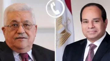 الرئيس السيسي يشدد على مواصلة الجهود المصرية المكثفة من أجل تأسيس هدنة في