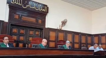 السجن 5 سنوات لعامل هدد سيدة بالسلاح لمحاولة اغتصابها في أسيوط
