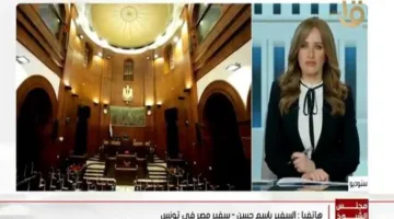 السفير المصري في تونس: تحسين تقني في إدارة انتخابات مجلس الشيوخ للمغتربين.